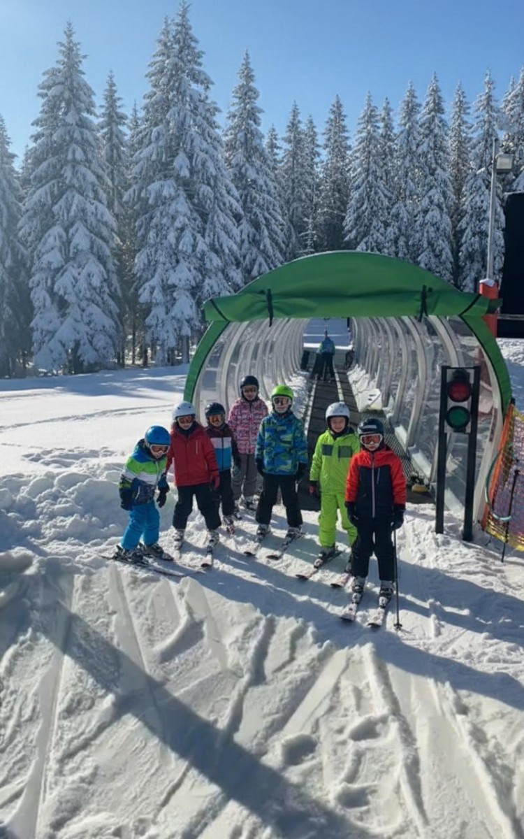 GALERIE GLOB SPORT CANOPY