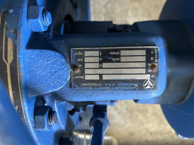 Vogel Pumpen 2 Stück